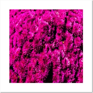 Bright Pink Flower Pattern Posters and Art